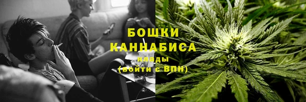 твердый Алзамай