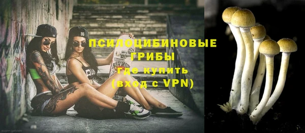 прущий лед Алексеевка